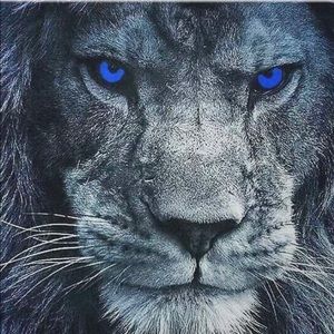 Meet your Posher, Elvis “king keno”